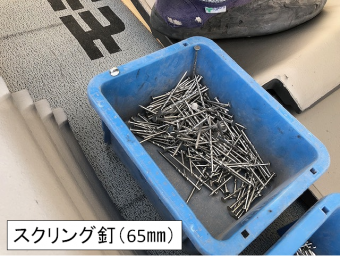 スクリング釘の写真