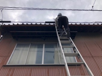慎重に二連梯子で上がります