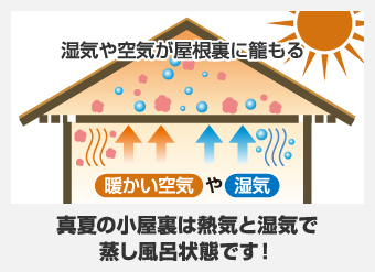真夏の小屋裏は熱気と湿気で蒸し風呂状態です!