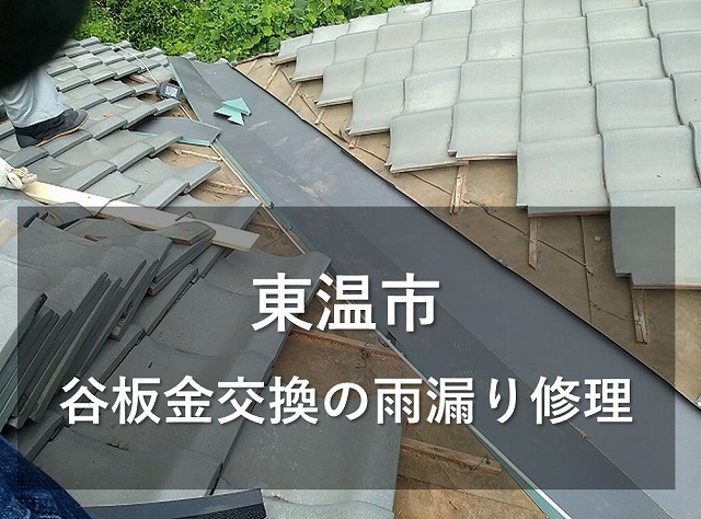 東温市でガルバリウム鋼板製の谷板金へ交換する雨漏り修理