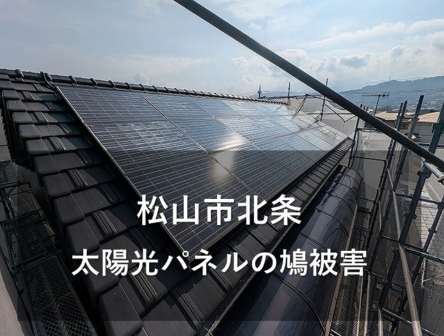 松山市北条で太陽光パネルのついた屋根の鳩被害のお悩み相談