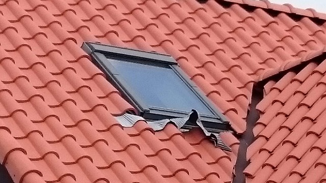 鉛板がめくれている天窓写真