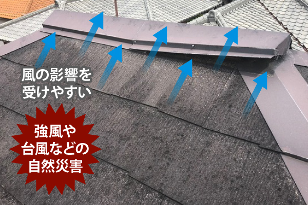 強風や台風などの自然災害